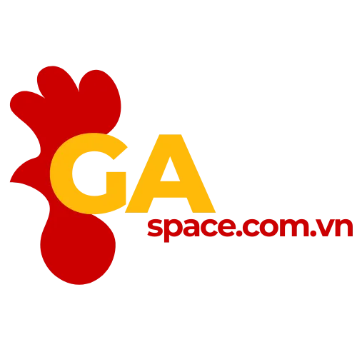 Gà Space