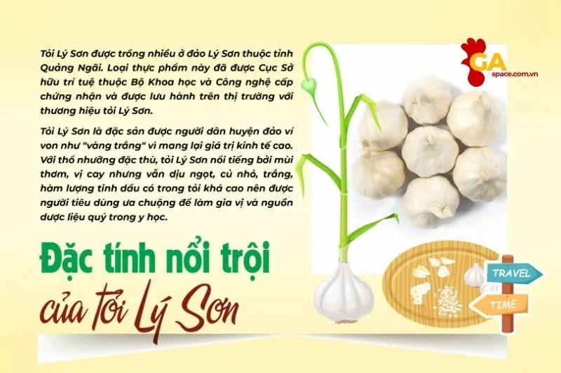 Công dụng và lợi ích sức khỏe của tỏi Lý Sơn