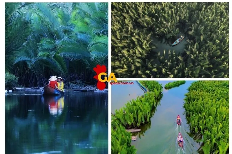 Giới thiệu về Rừng dừa nước Tịnh Khê Quảng Ngãi