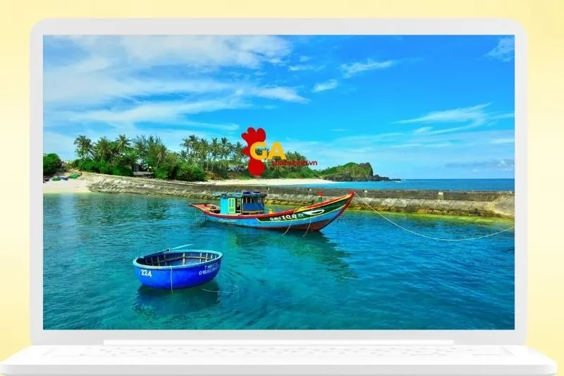 Những hoạt động thú vị trên Cù Lao Ré