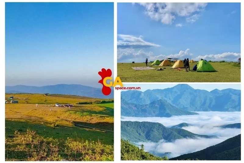Thảo Nguyên Bùi Hui Quảng Ngãi - Điểm Đến Lý Tưởng Cho Cắm Trại