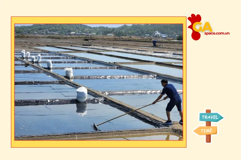Vẻ đẹp và sức hút của cánh đồng muối Sa Huỳnh Quảng Ngãi