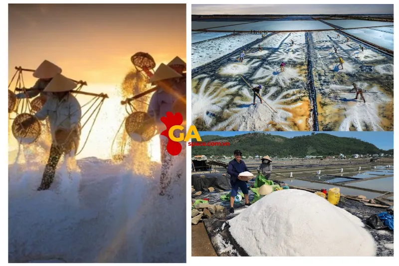 Vị Trí Và Cách Di Chuyển Đến Cánh đồng muối Sa Huỳnh Quảng Ngãi